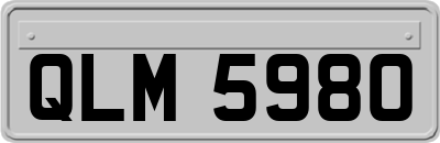 QLM5980