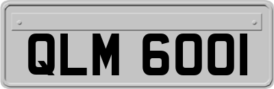 QLM6001