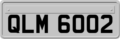 QLM6002