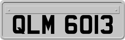 QLM6013