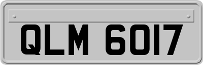 QLM6017