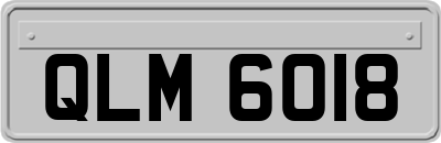 QLM6018