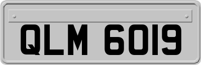 QLM6019