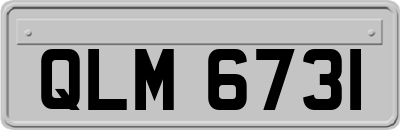 QLM6731