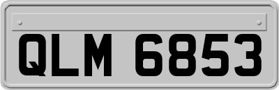 QLM6853