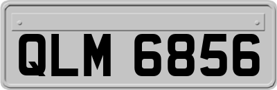 QLM6856