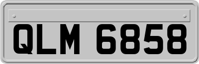 QLM6858