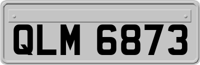 QLM6873