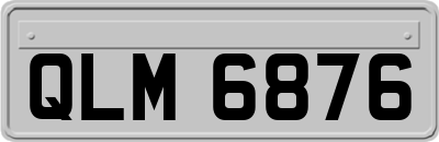 QLM6876