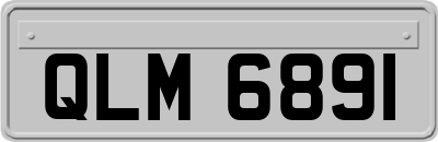 QLM6891