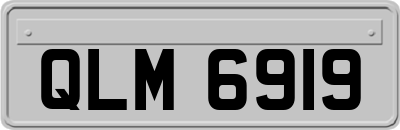 QLM6919