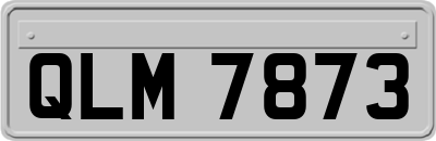 QLM7873