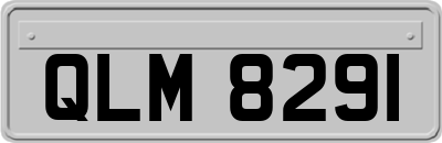 QLM8291