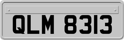 QLM8313