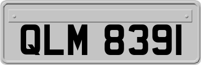 QLM8391