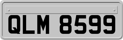 QLM8599