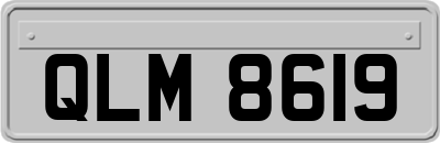 QLM8619