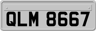 QLM8667