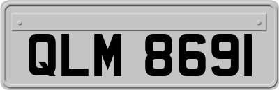 QLM8691