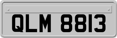 QLM8813