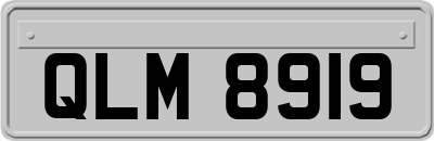 QLM8919