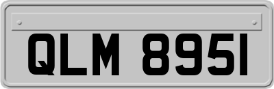 QLM8951