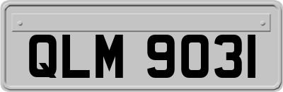 QLM9031