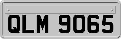 QLM9065