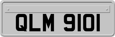 QLM9101