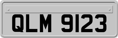 QLM9123