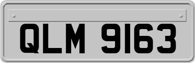 QLM9163