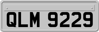 QLM9229