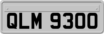 QLM9300