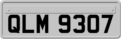 QLM9307