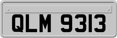 QLM9313