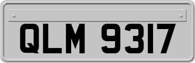 QLM9317