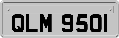 QLM9501