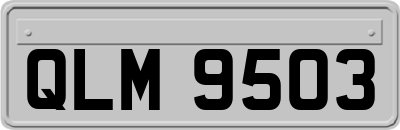 QLM9503