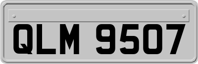 QLM9507