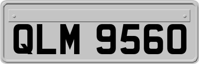 QLM9560