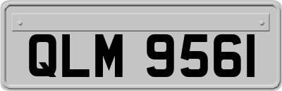 QLM9561