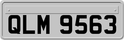 QLM9563