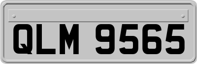 QLM9565