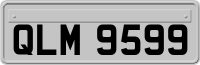 QLM9599