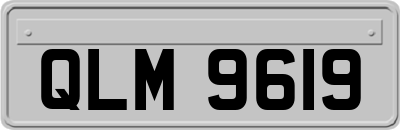 QLM9619