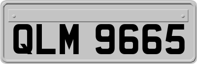 QLM9665