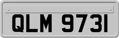 QLM9731