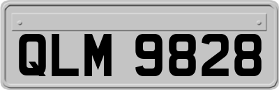 QLM9828