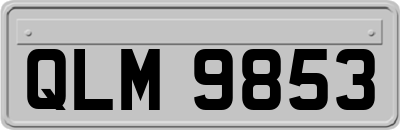 QLM9853