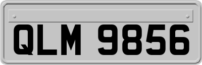 QLM9856